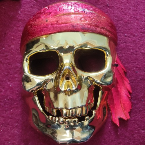 Pirates caribbean boys mask - caribbean,