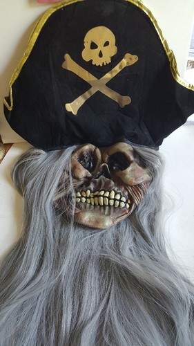 Pirate captain skull mask full - skull,