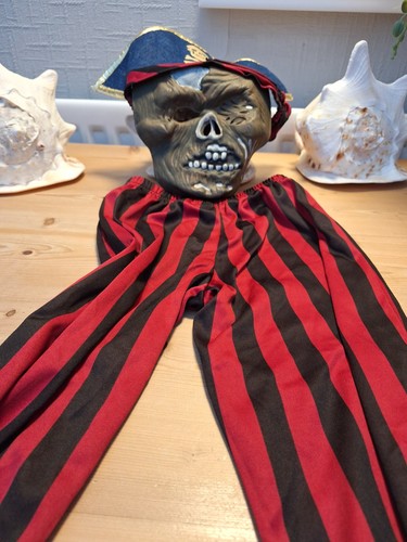 Halloween pirate fancy dress - fancy,